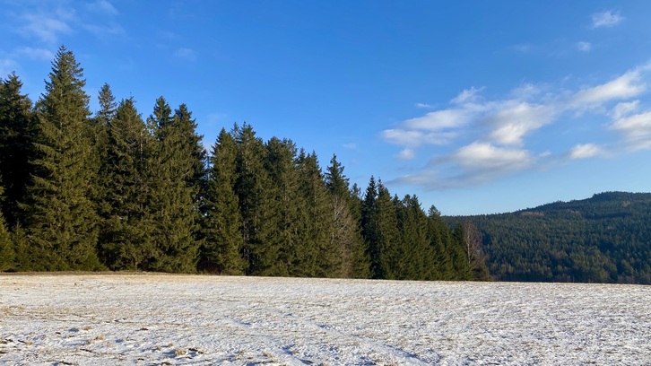 5 934 m2, Český Krumlov - Frymburk, Náhlov, ID 559 1