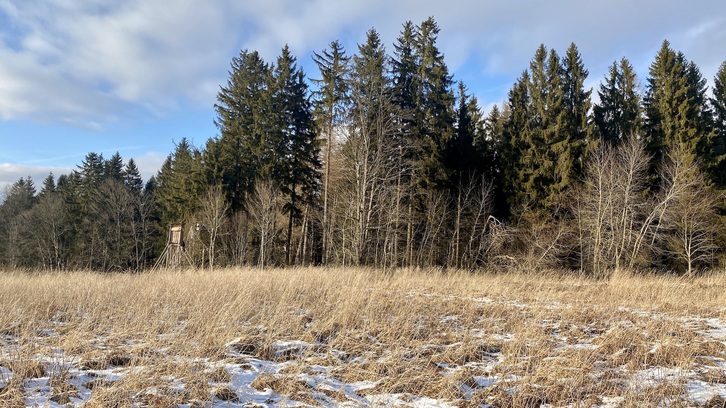 5 934 m2, Český Krumlov - Frymburk, Náhlov, ID 559 3