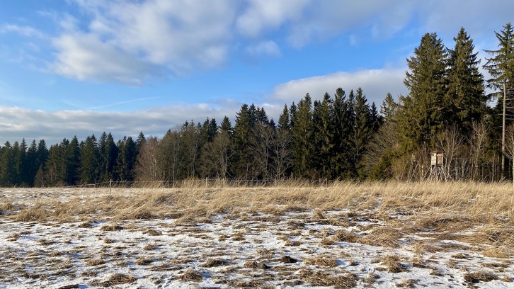 5 934 m2, Český Krumlov - Frymburk, Náhlov, ID 559 4