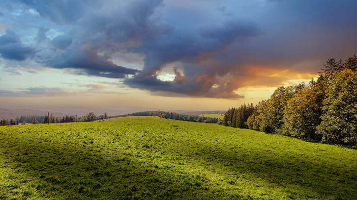 5 934 m2, Český Krumlov - Frymburk, Náhlov, ID 559 0