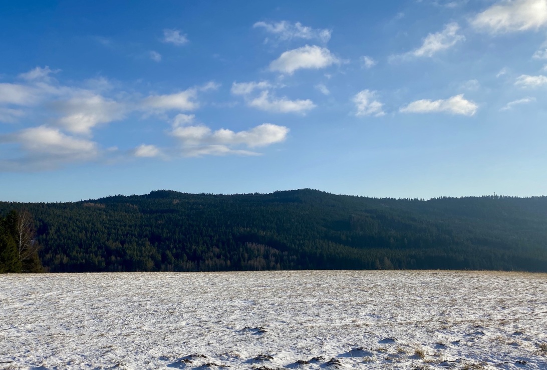 5 934 m2, Český Krumlov - Frymburk, Náhlov, ID 559 2