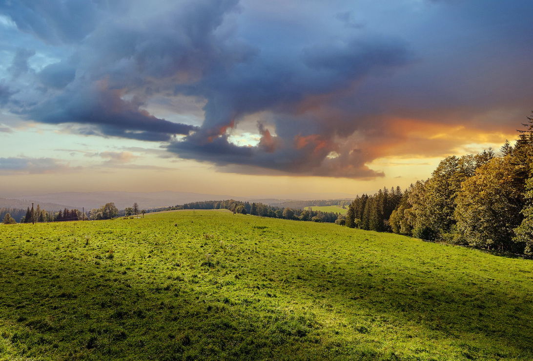 5 934 m2, Český Krumlov - Frymburk, Náhlov, ID 559 0